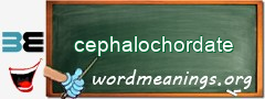 WordMeaning blackboard for cephalochordate